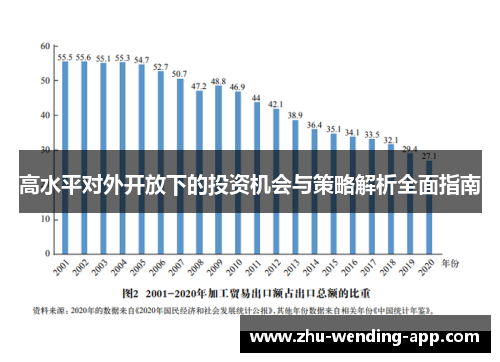 高水平对外开放下的投资机会与策略解析全面指南 高水平对外开放下的投资机会与策略解析全面指南