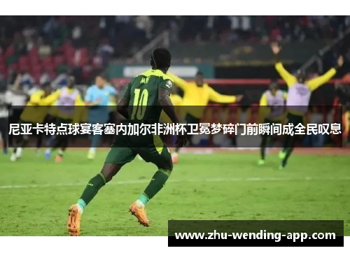 尼亚卡特点球宴客塞内加尔非洲杯卫冕梦碎门前瞬间成全民叹息