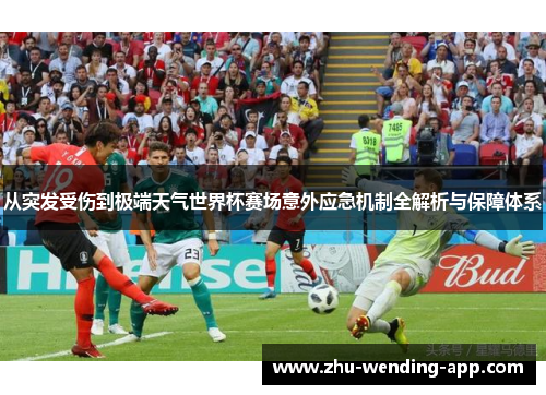 从突发受伤到极端天气世界杯赛场意外应急机制全解析与保障体系