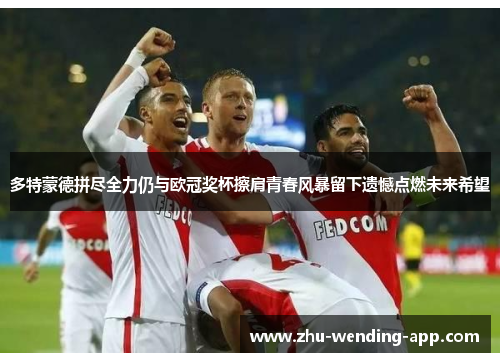 多特蒙德拼尽全力仍与欧冠奖杯擦肩青春风暴留下遗憾点燃未来希望 多特蒙德拼尽全力仍与欧冠奖杯擦肩青春风暴留下遗憾点燃未来希望