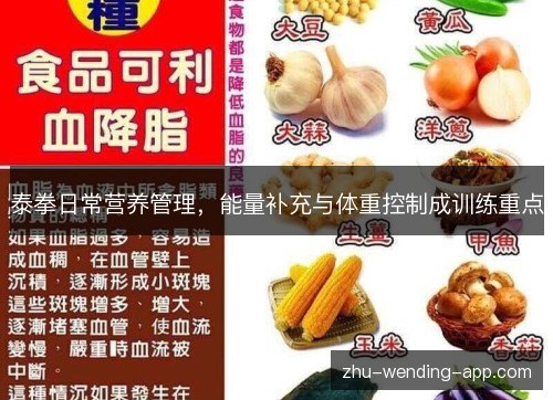 泰拳日常营养管理,能量补充与体重控制成训练重点 泰拳日常营养管理,能量补充与体重控制成训练重点